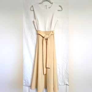 Calvin Klein Color Block Belted Midi Dress (FLAWED GEM)